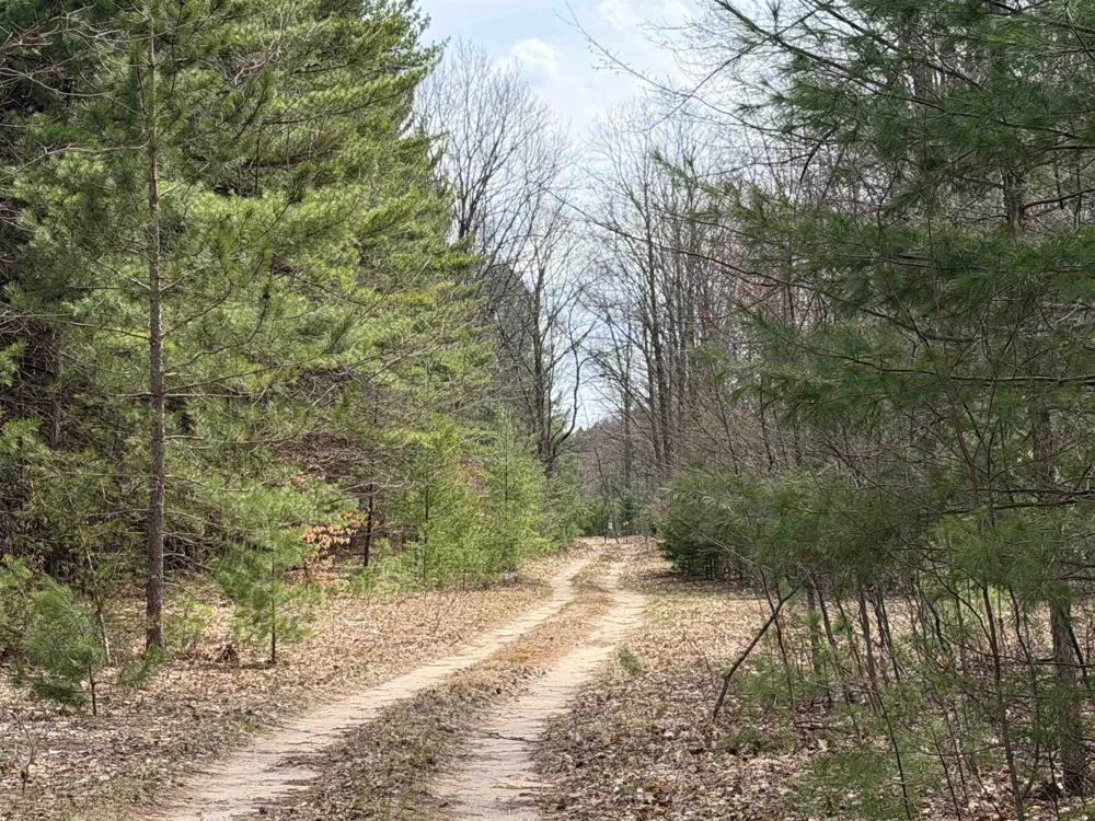 Hoosier Valley Road Blair Township, MI 49685