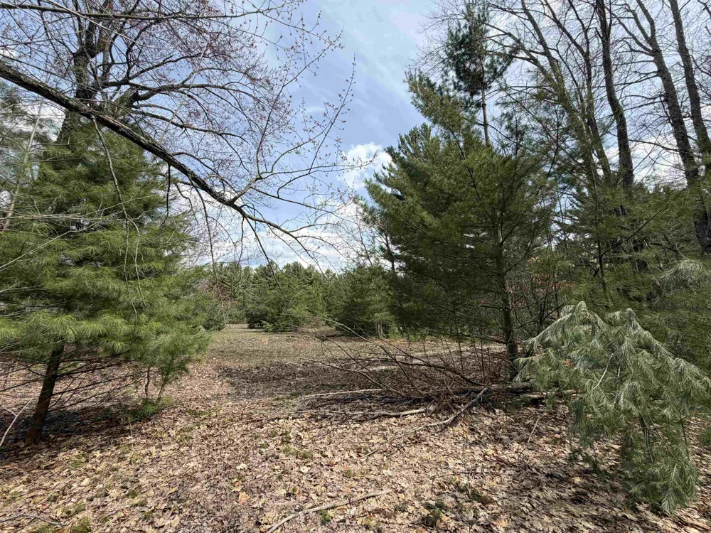 Hoosier Valley Road Blair Township, MI 49685