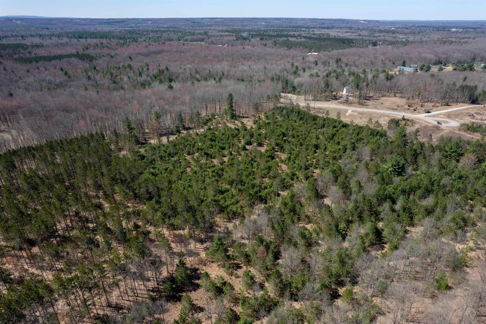 Hoosier Valley Road Blair Township, MI 49685