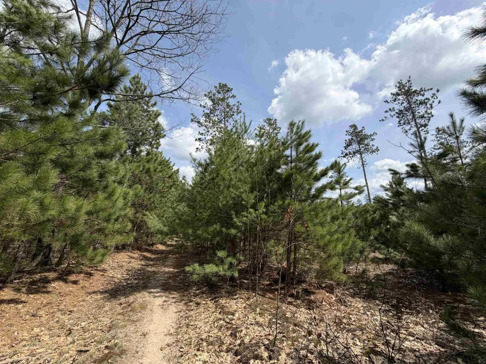 Hoosier Valley Road Blair Township, MI 49685
