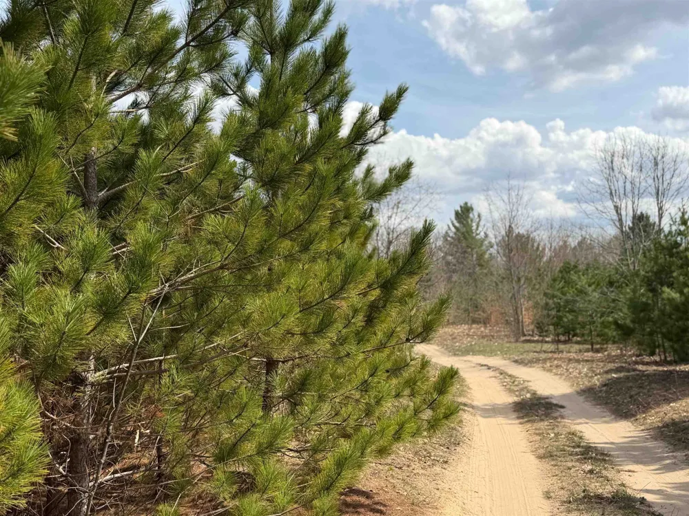 Hoosier Valley Road Blair Township, MI 49685