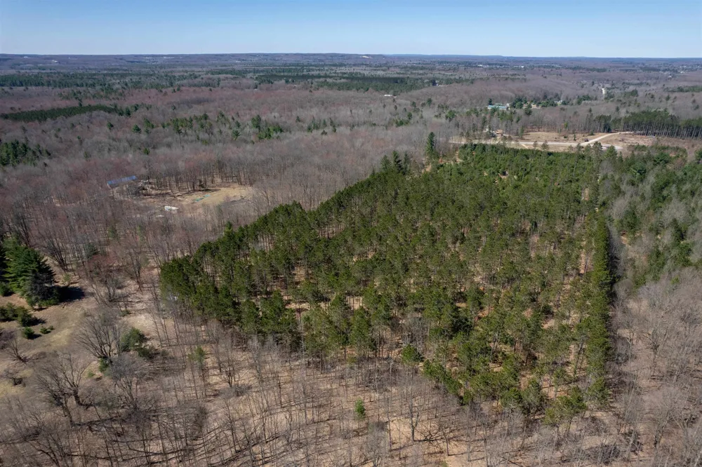 Hoosier Valley Road Blair Township, MI 49685