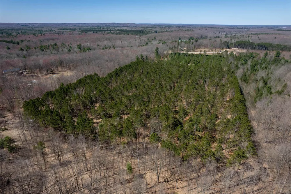 Hoosier Valley Road Blair Township, MI 49685