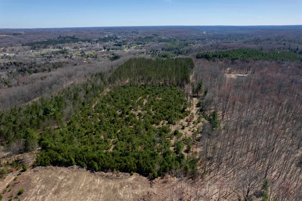 Hoosier Valley Road Blair Township, MI 49685
