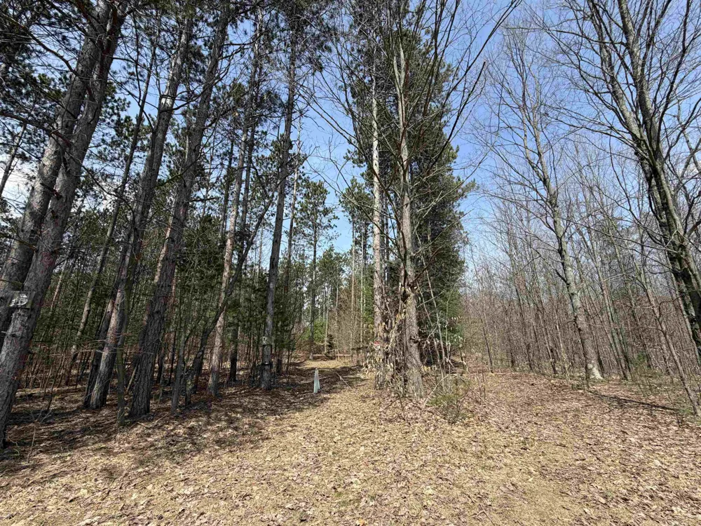 Hoosier Valley Road Blair Township, MI 49685