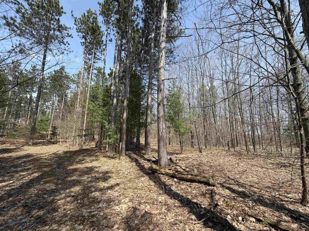 Hoosier Valley Road Blair Township, MI 49685