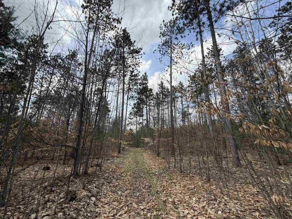 Hoosier Valley Road Blair Township, MI 49685