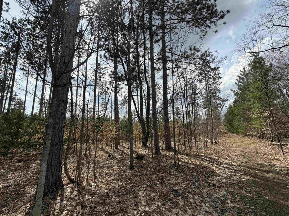 Hoosier Valley Road Blair Township, MI 49685