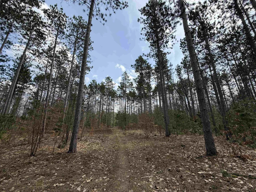 Hoosier Valley Road Blair Township, MI 49685