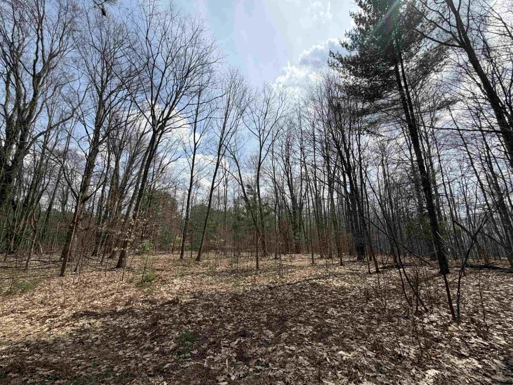 Hoosier Valley Road Blair Township, MI 49685