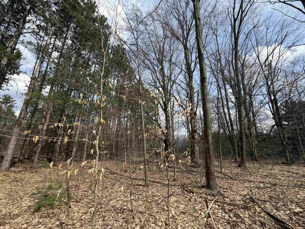 Hoosier Valley Road Blair Township, MI 49685