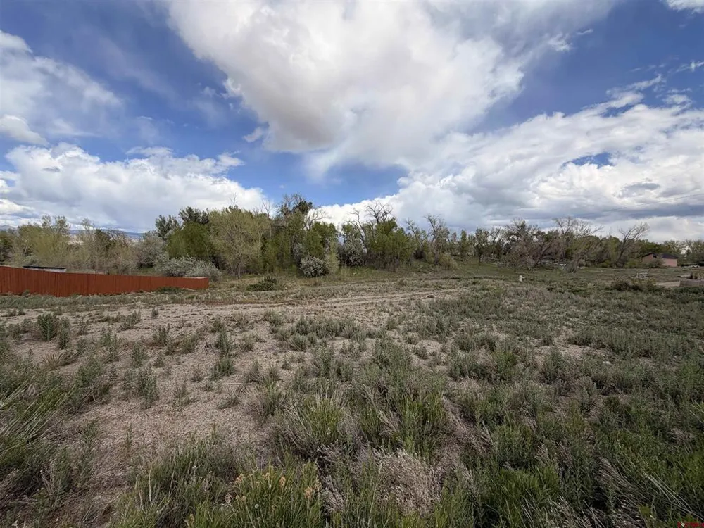 16 Crestview Drive Montrose, CO 81403