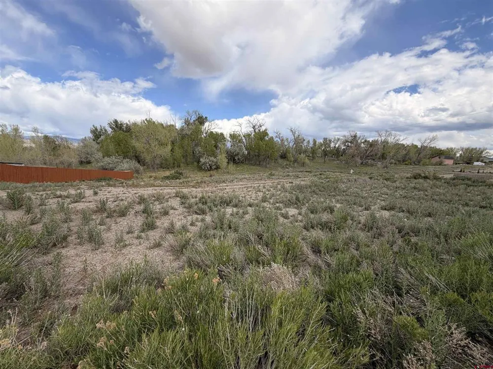 16 Crestview Drive Montrose, CO 81403