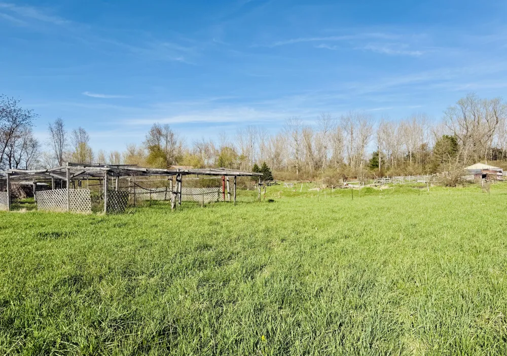 1525 S Poplar Road Custer, MI 49405