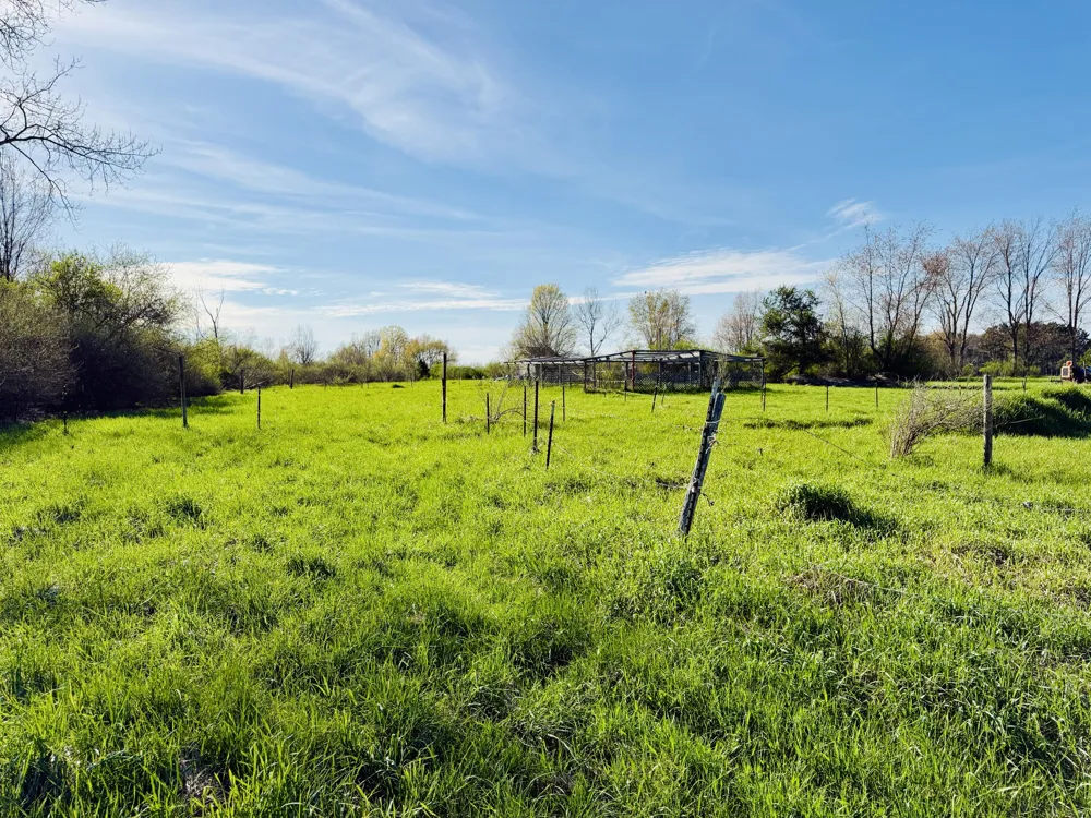 1525 S Poplar Road Custer, MI 49405