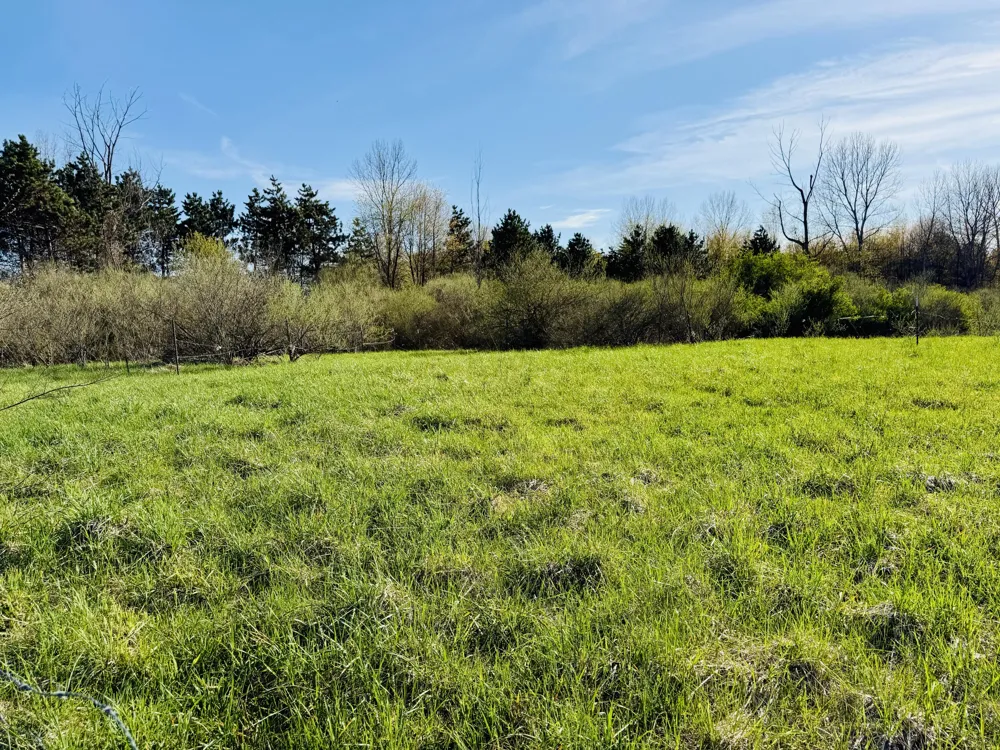 1525 S Poplar Road Custer, MI 49405