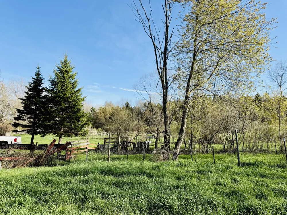 1525 S Poplar Road Custer, MI 49405