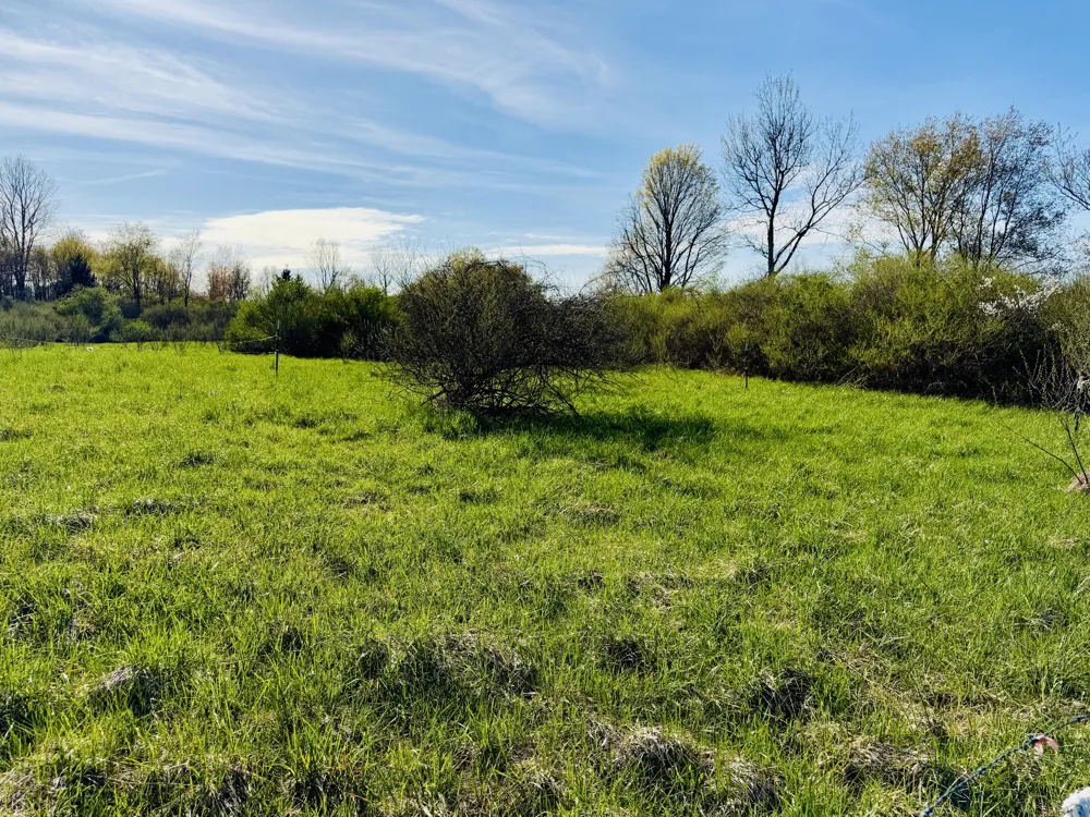 1525 S Poplar Road Custer, MI 49405