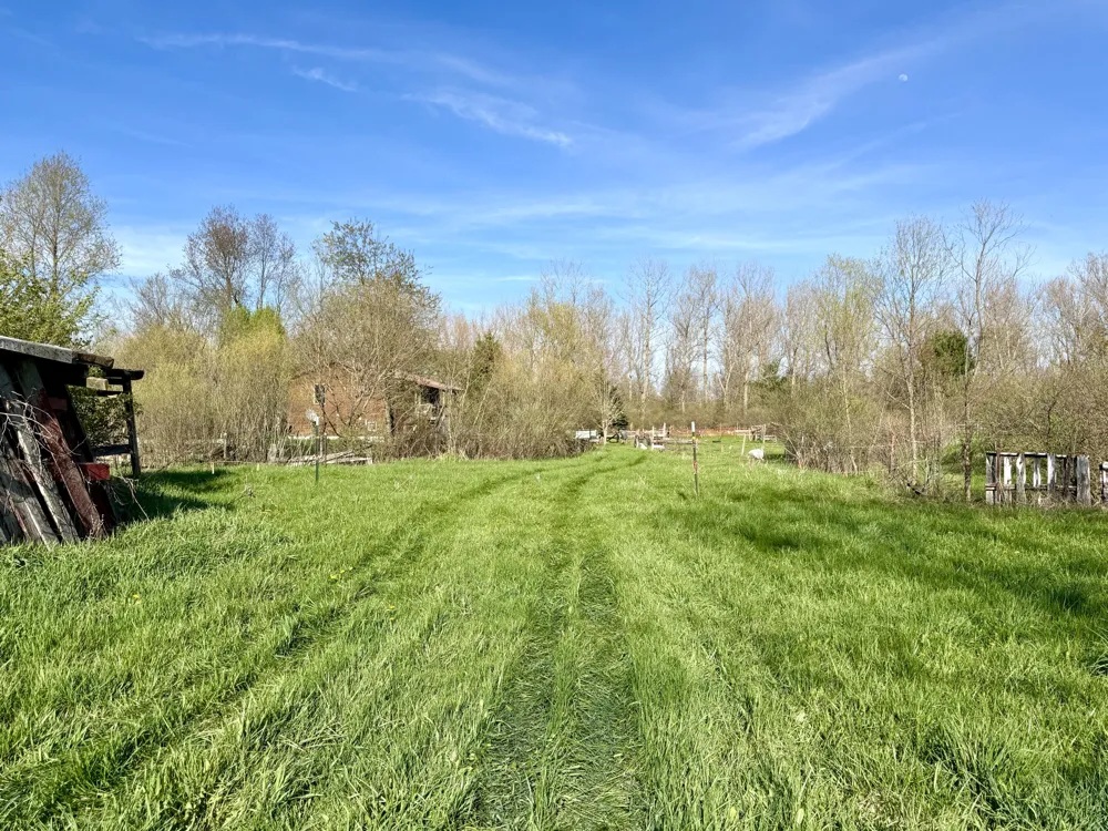 1525 S Poplar Road Custer, MI 49405