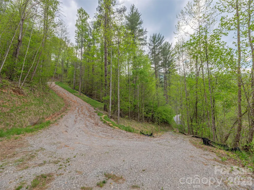000 Caney Fork Road Cullowhee, NC 28723