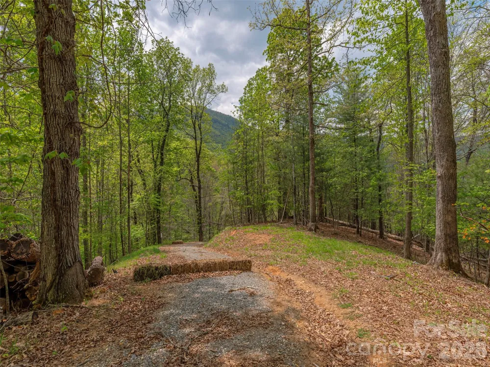 000 Caney Fork Road Cullowhee, NC 28723