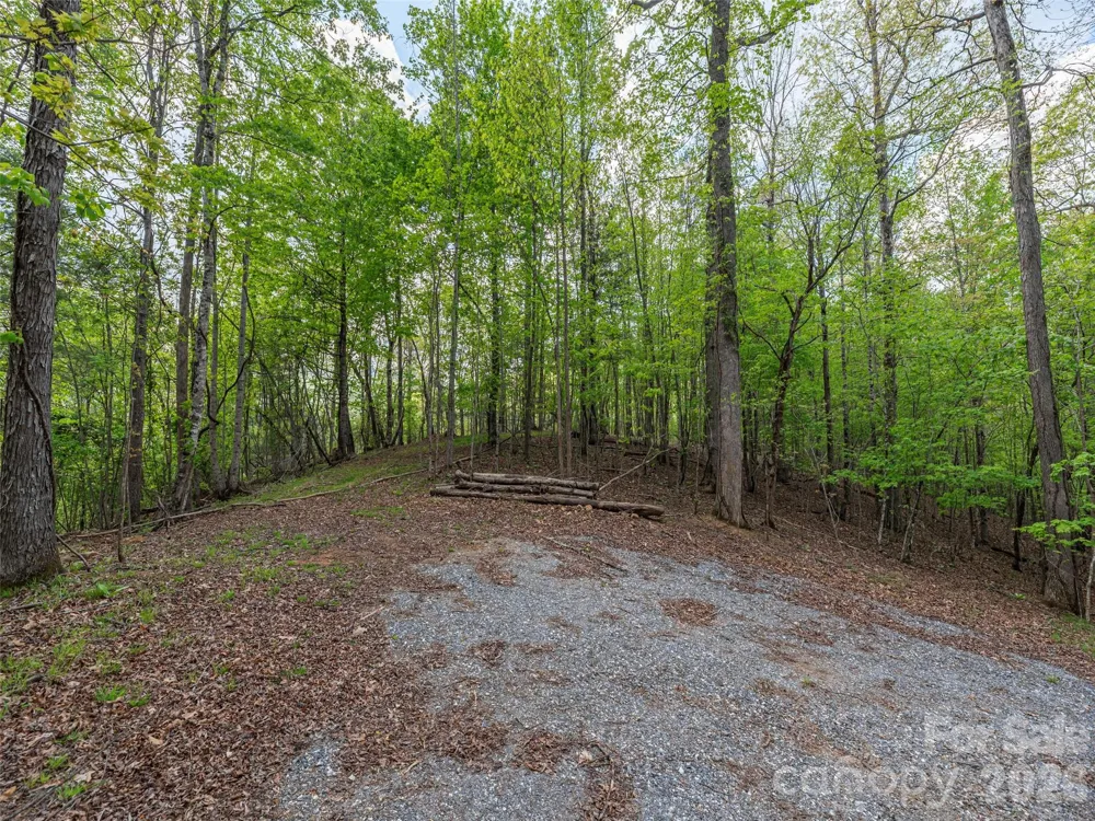 000 Caney Fork Road Cullowhee, NC 28723