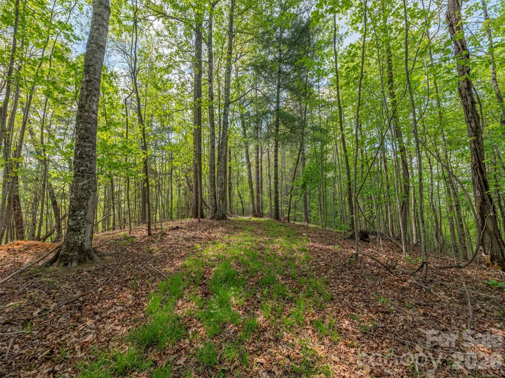 000 Caney Fork Road Cullowhee, NC 28723