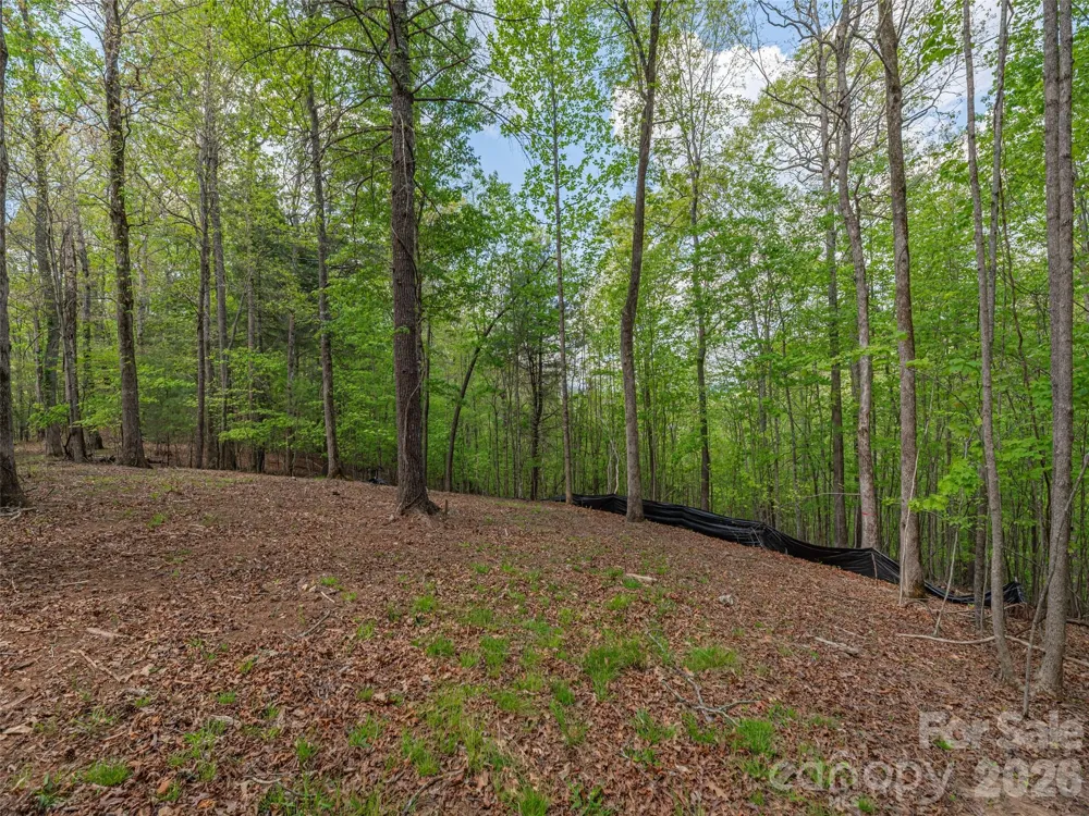 000 Caney Fork Road Cullowhee, NC 28723