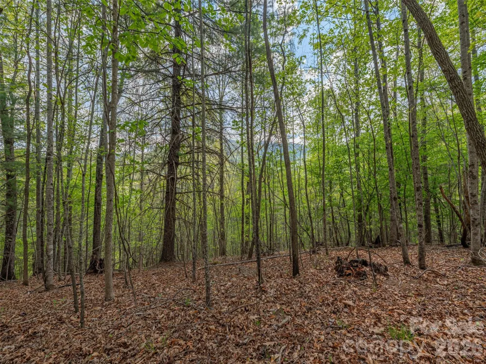 000 Caney Fork Road Cullowhee, NC 28723