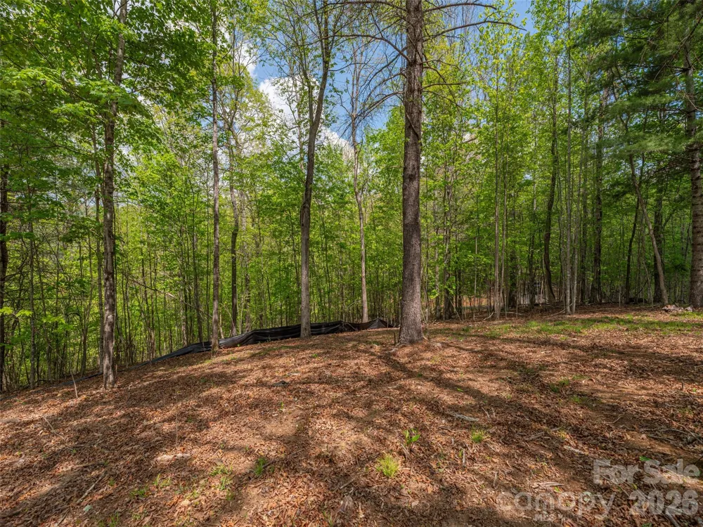 000 Caney Fork Road Cullowhee, NC 28723