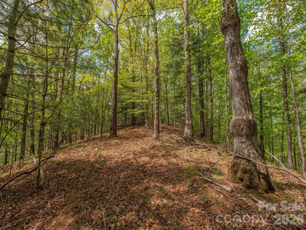 000 Caney Fork Road Cullowhee, NC 28723
