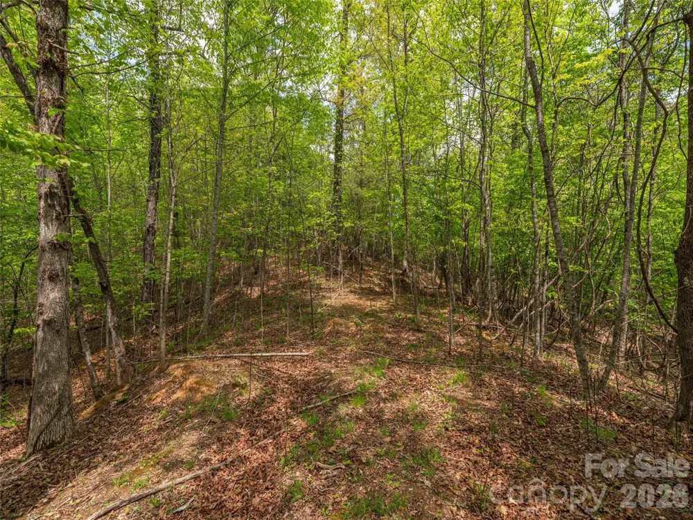 000 Caney Fork Road Cullowhee, NC 28723