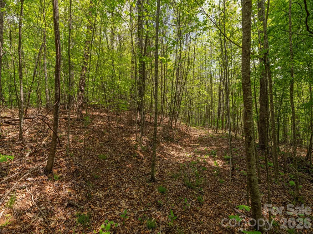 000 Caney Fork Road Cullowhee, NC 28723