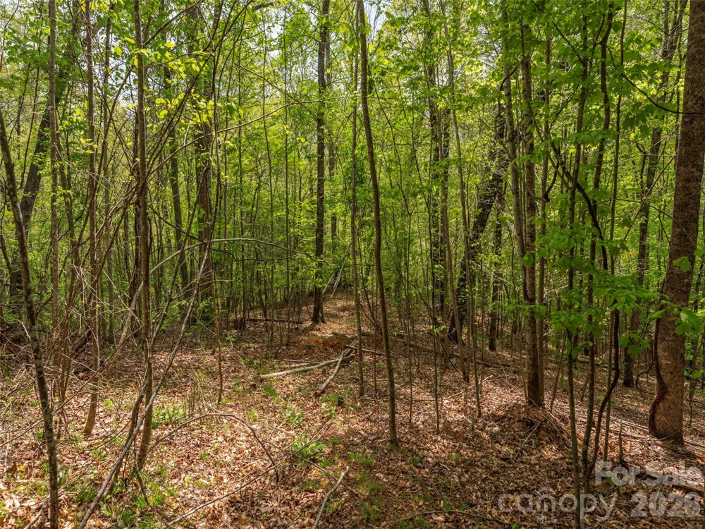 000 Caney Fork Road Cullowhee, NC 28723