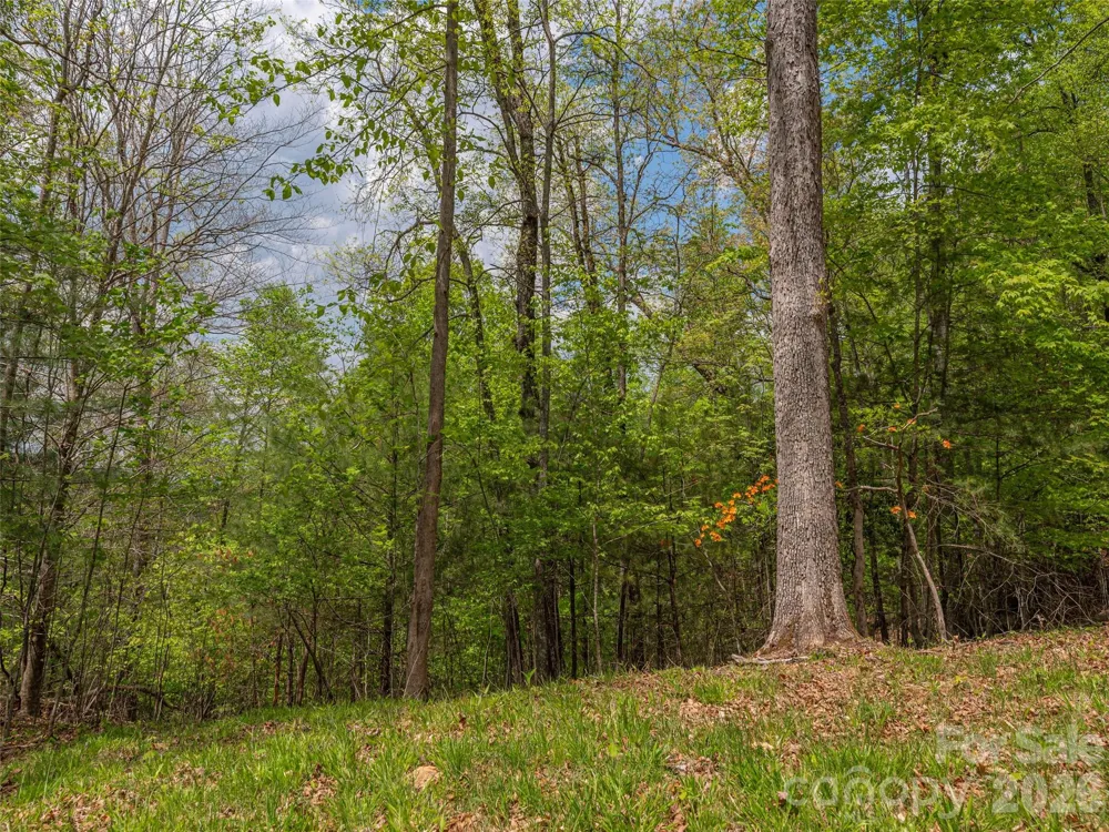 000 Caney Fork Road Cullowhee, NC 28723