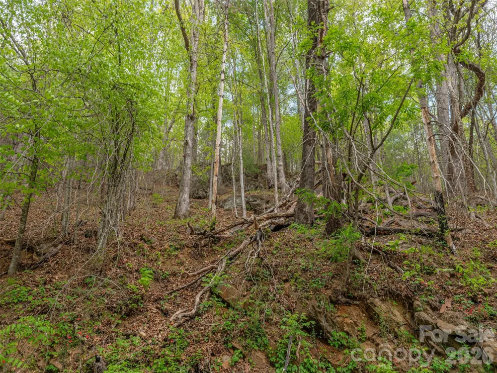 000 Caney Fork Road Cullowhee, NC 28723
