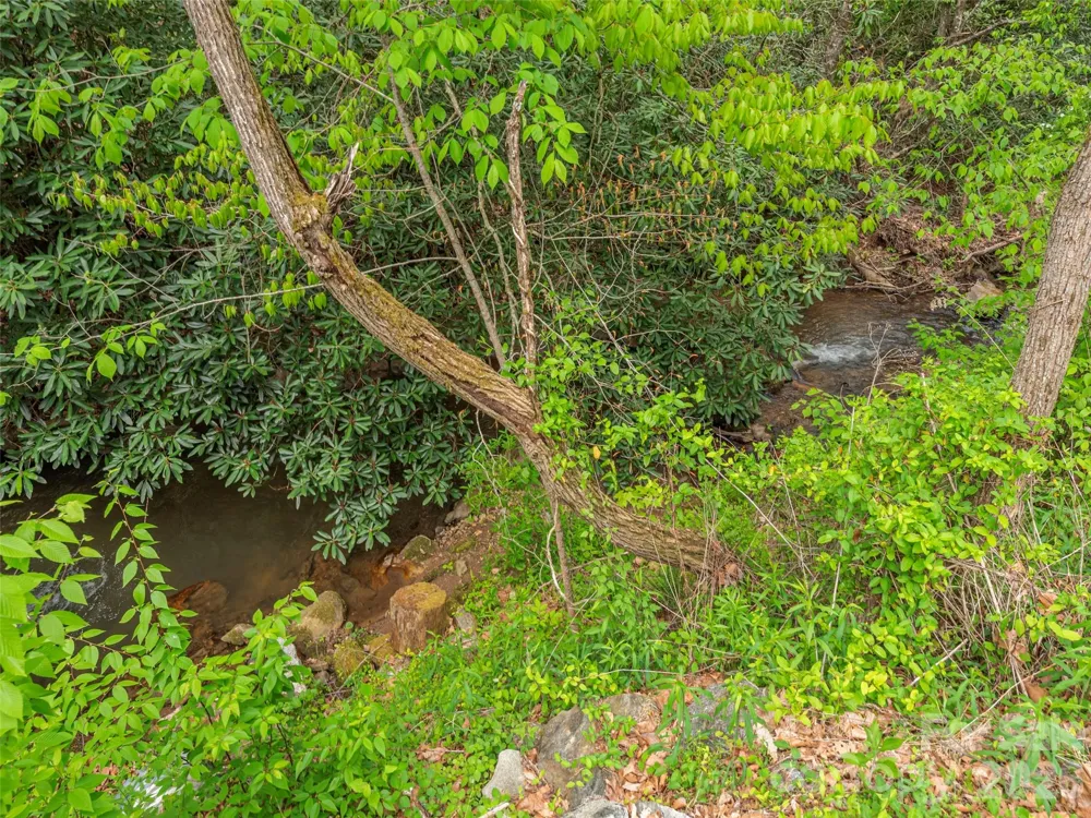 000 Caney Fork Road Cullowhee, NC 28723