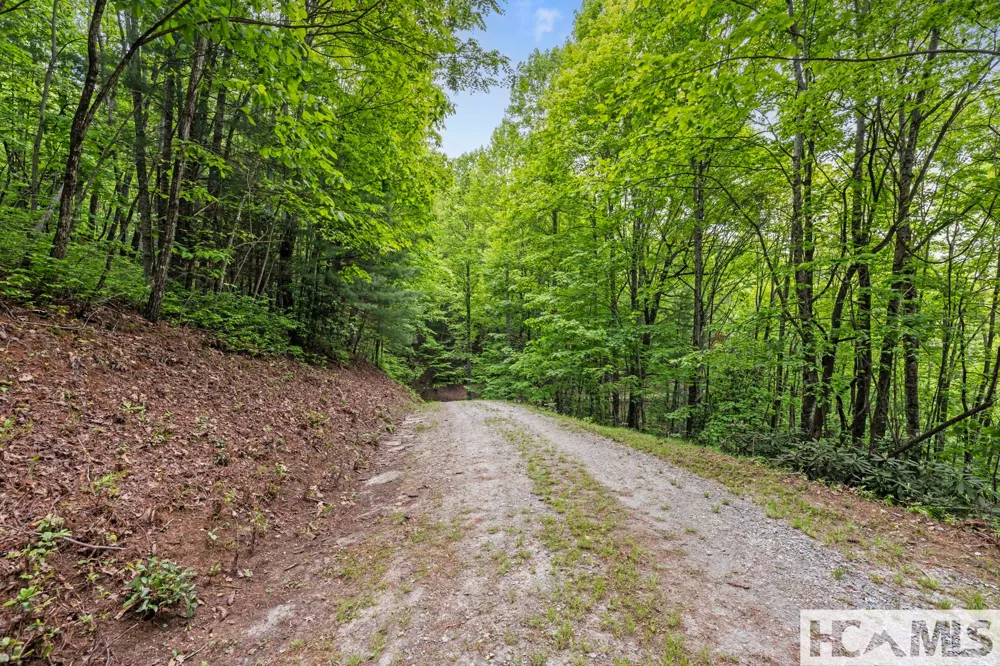 1325 Golden Road Lake Toxaway, NC 28747