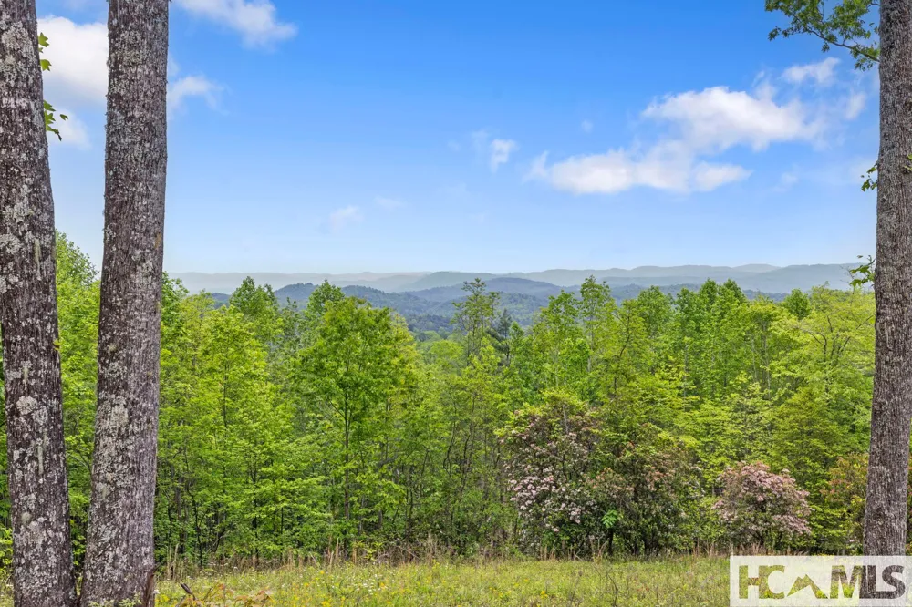 1325 Golden Road Lake Toxaway, NC 28747