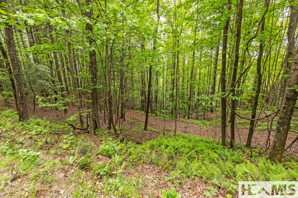 1325 Golden Road Lake Toxaway, NC 28747
