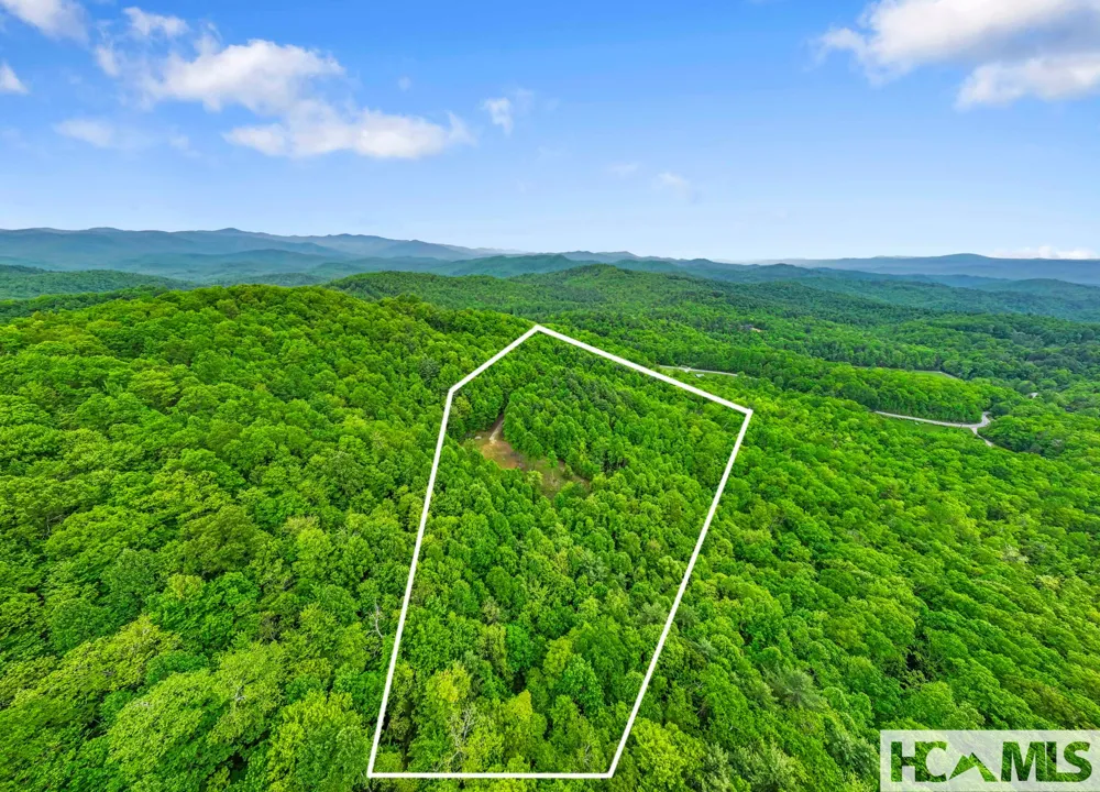1325 Golden Road Lake Toxaway, NC 28747