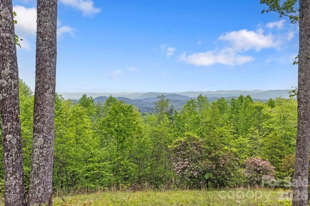 1325 Golden Road Lake Toxaway, NC 28747