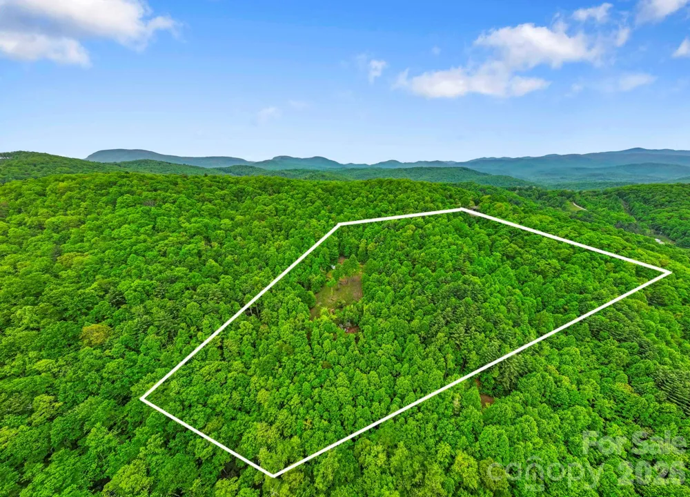 1325 Golden Road Lake Toxaway, NC 28747