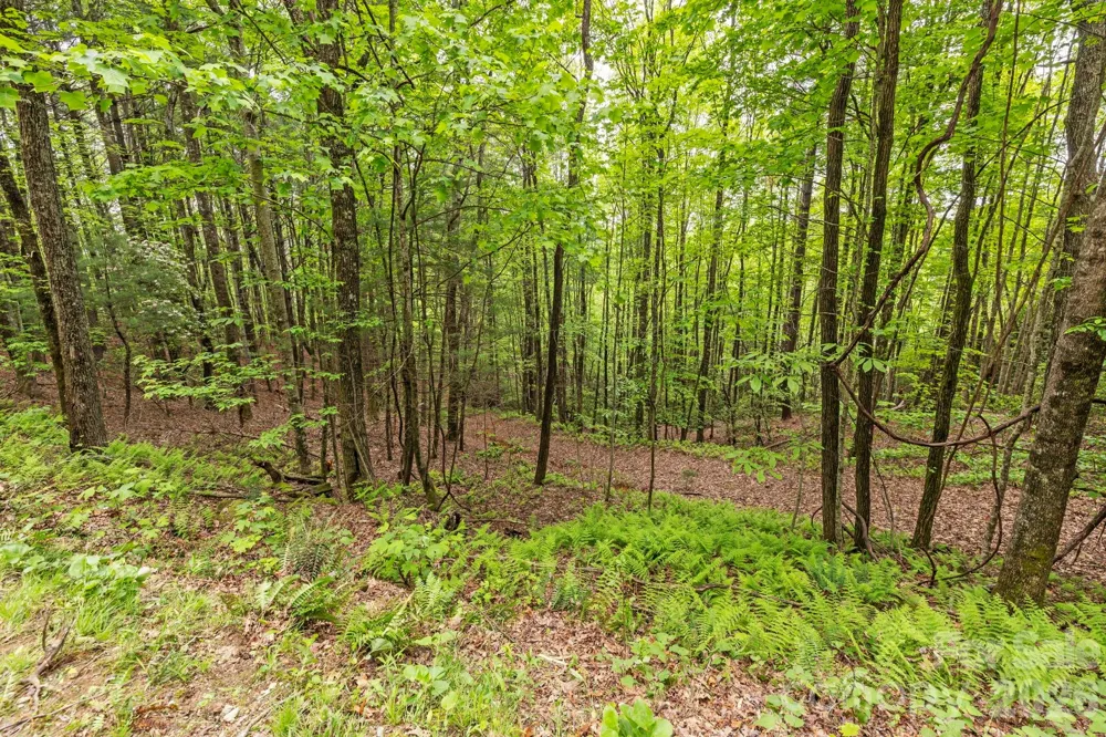 1325 Golden Road Lake Toxaway, NC 28747