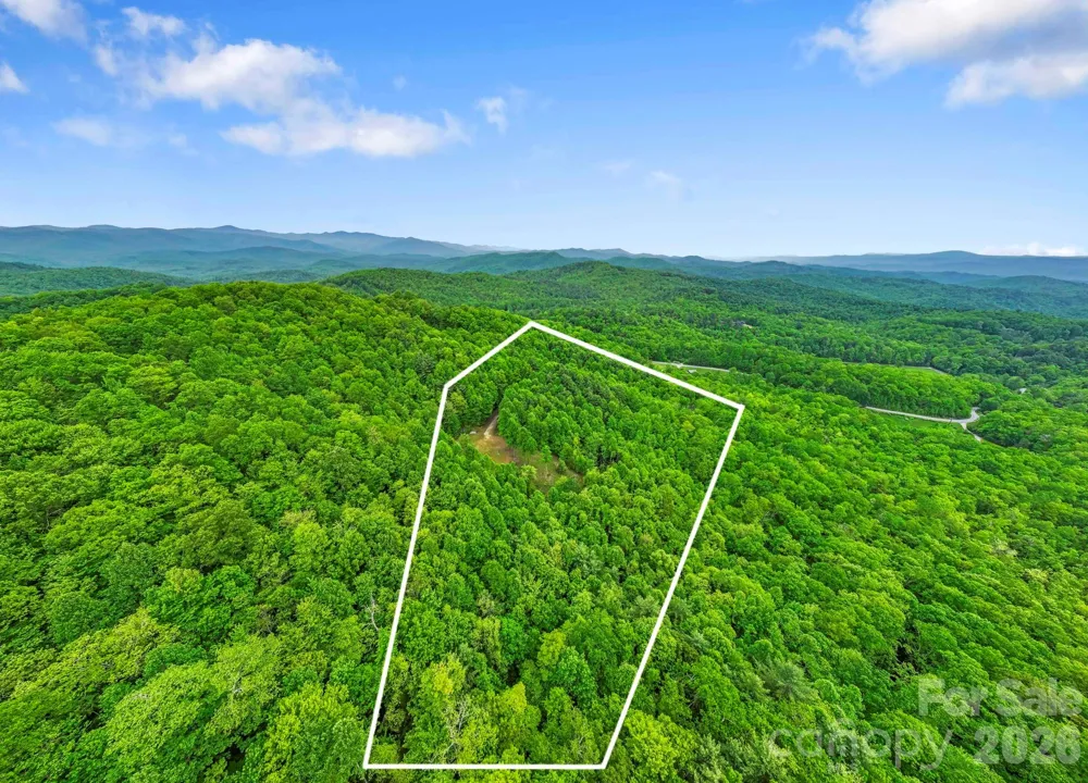 1325 Golden Road Lake Toxaway, NC 28747