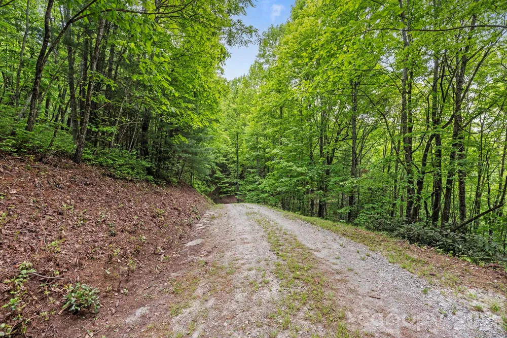 1325 Golden Road Lake Toxaway, NC 28747