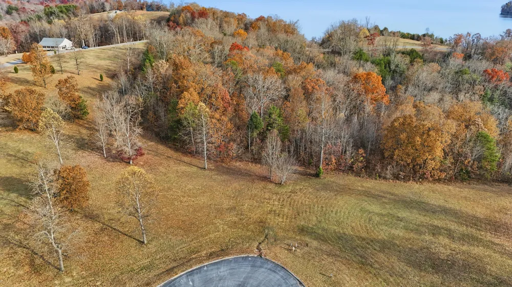 150 Quail Hollow Cove Spring City, TN 37381
