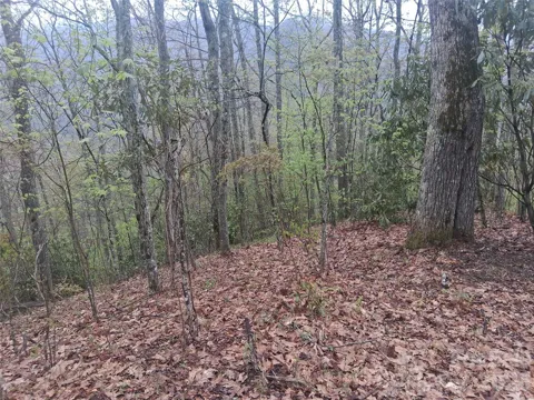 0000 Bear Creek Road