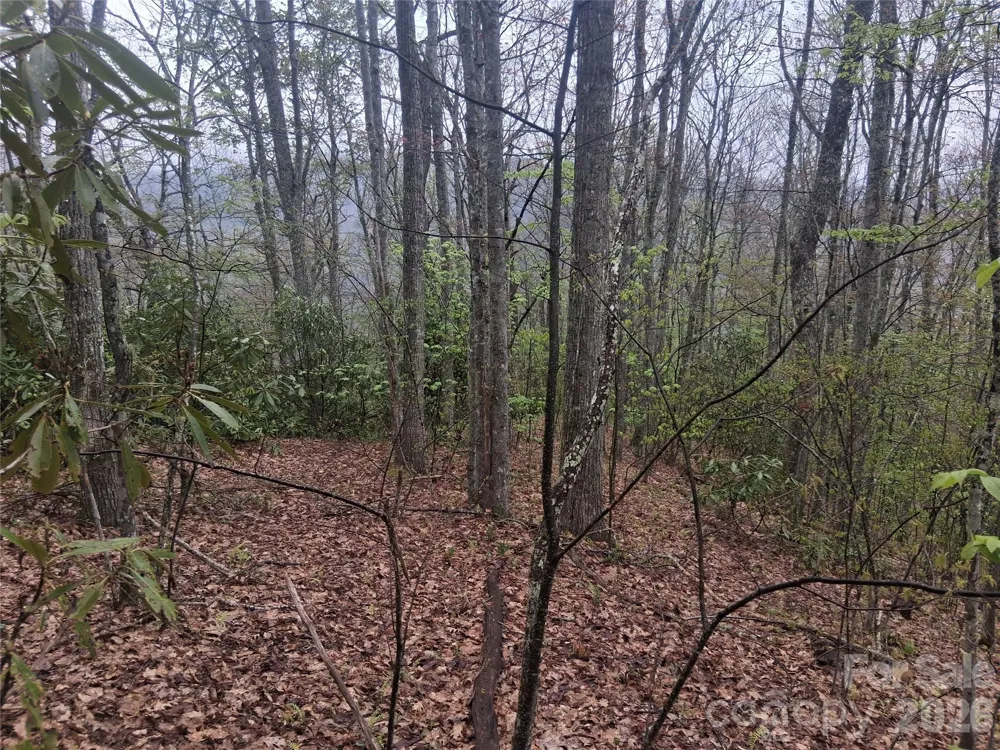 0000 Bear Creek Road Maggie Valley, NC 28721