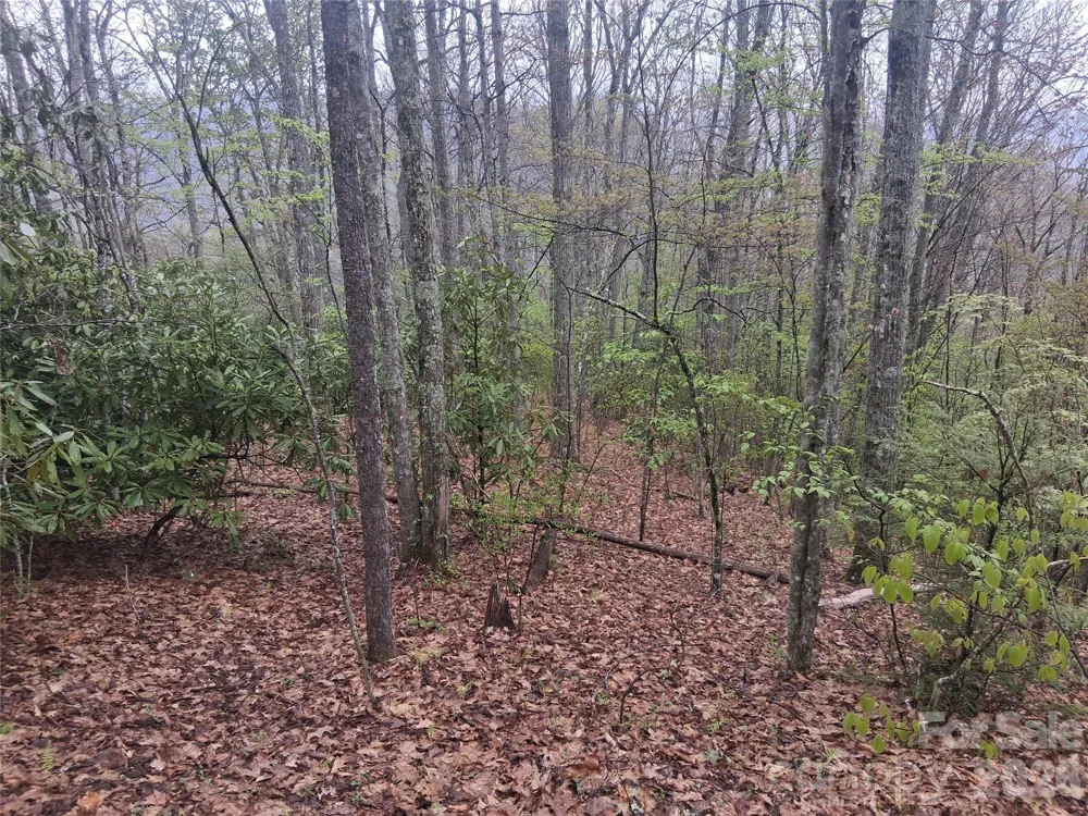 0000 Bear Creek Road Maggie Valley, NC 28721